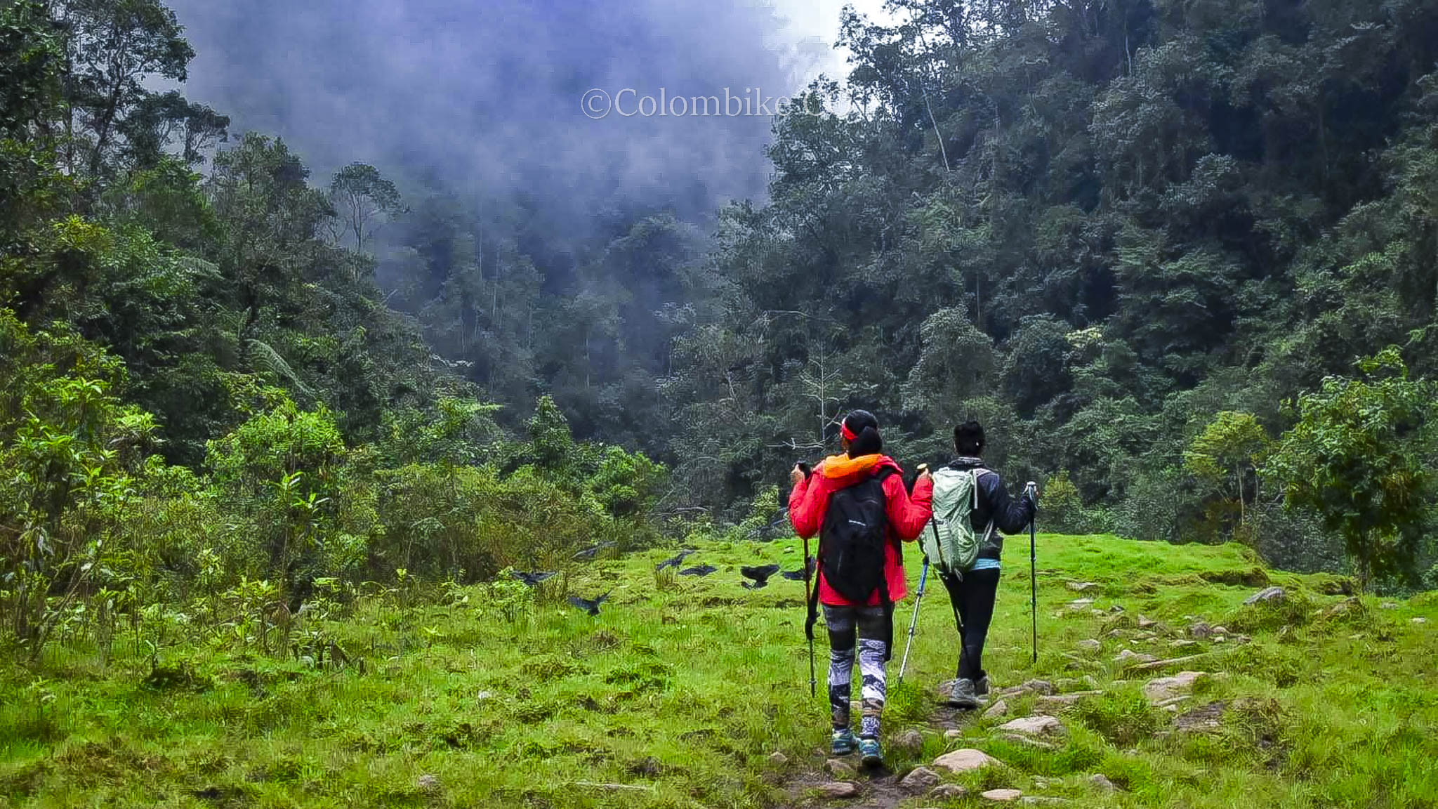Nieve, páramo y fumarolas: magia en el Nevado del Ruiz.