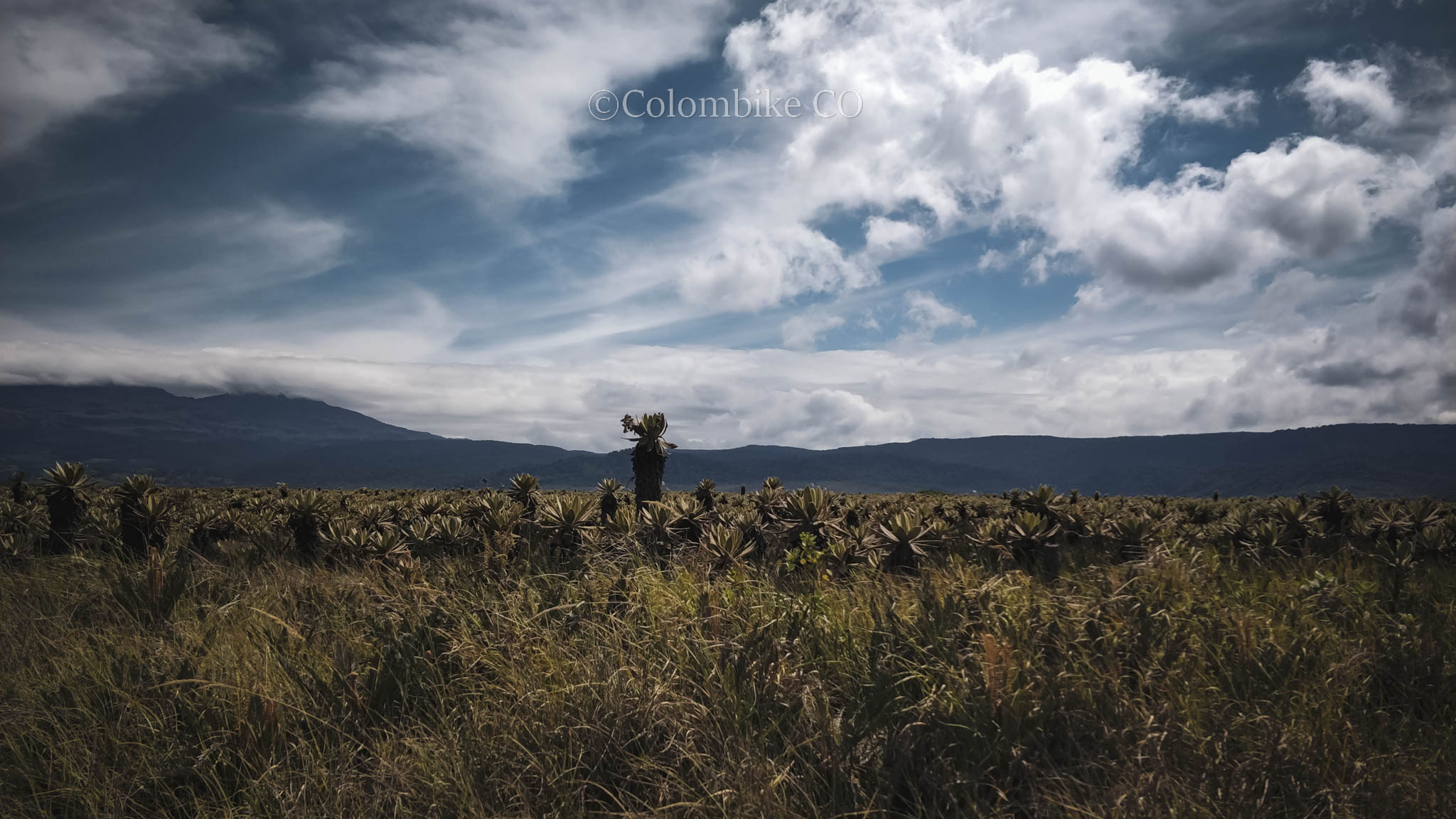El Ruiz, gigante dormido con una fumarola de vida.