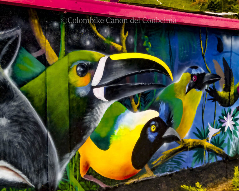 Colombike Cañon del Conbeima-04