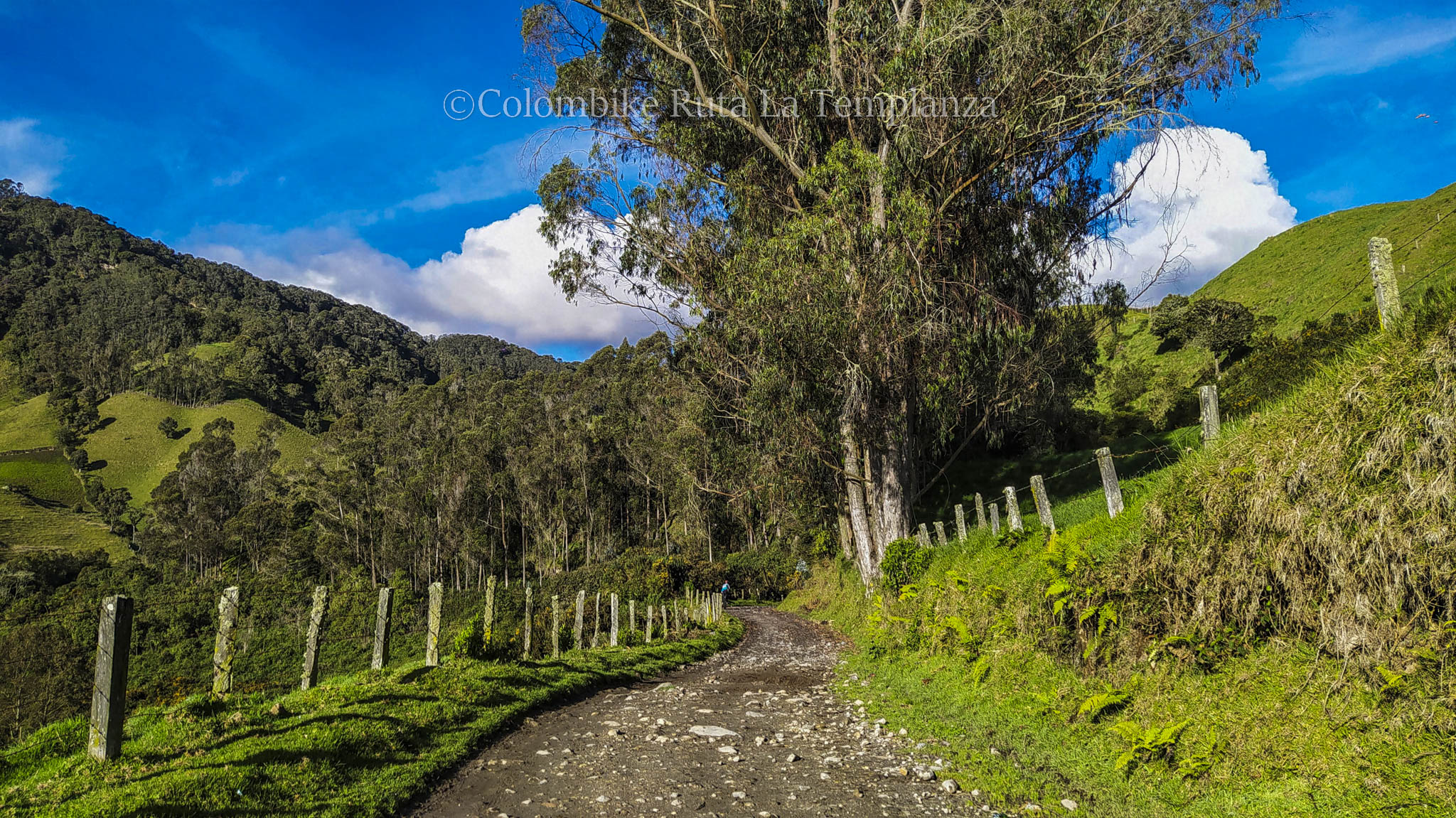 Colombike Templanza-03