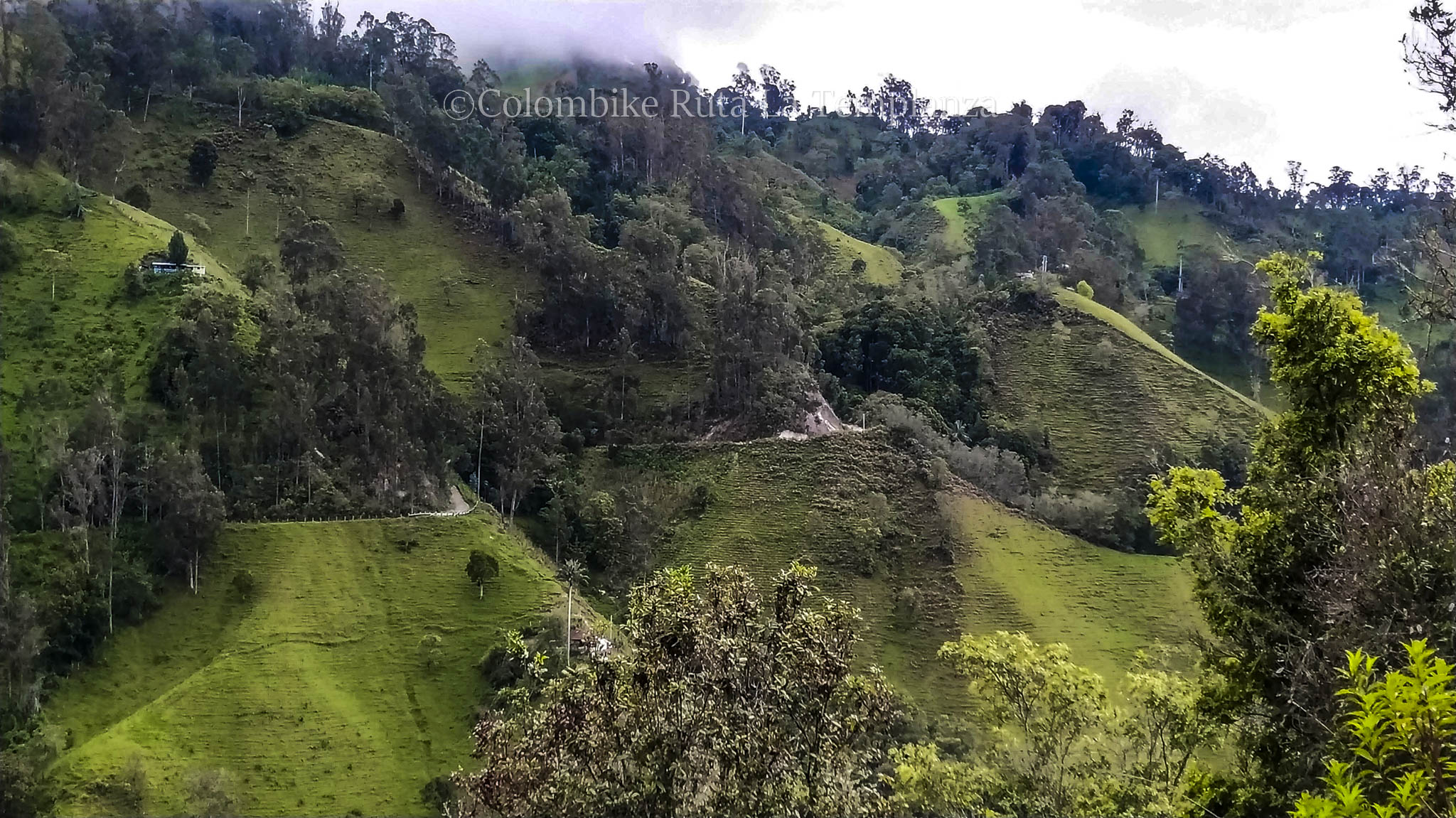 Colombike Templanza-06