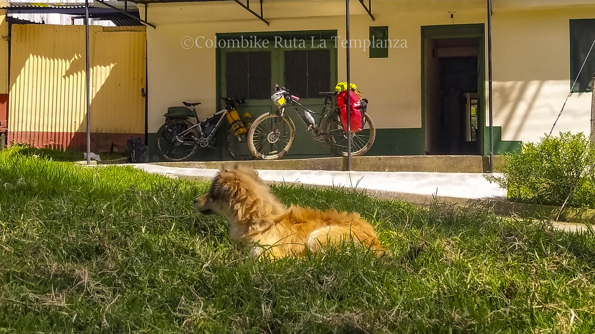 Colombike Templanza-12