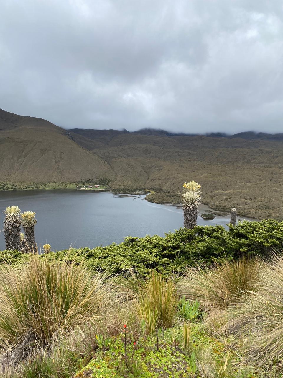 WhatsApp Image 2025-05-05 at 14.02.05