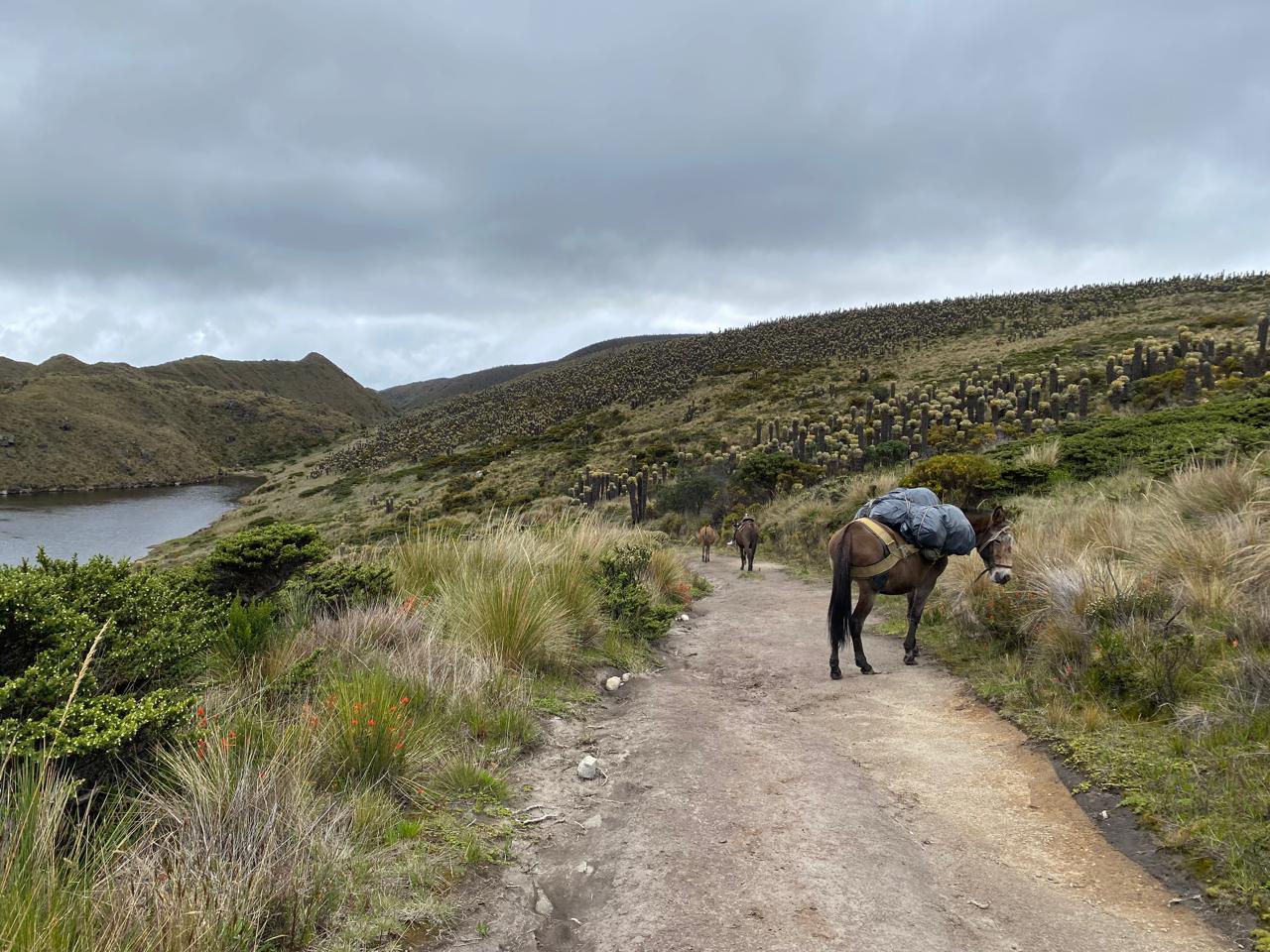 WhatsApp Image 2025-05-05 at 14.02.06 (1)