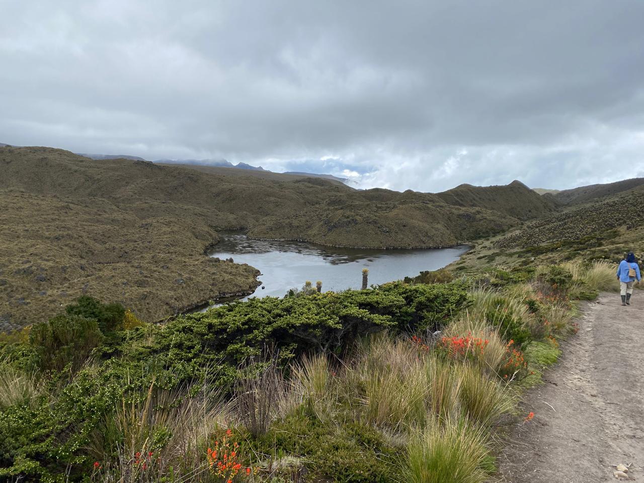 WhatsApp Image 2025-05-05 at 14.02.06