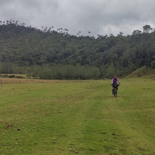 machín